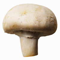 Mushrooms